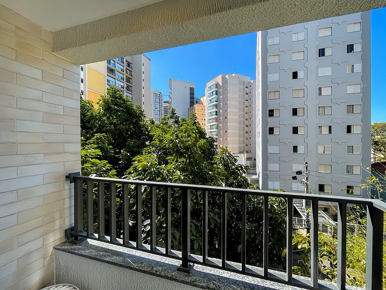 Next to Ibirapuera Park